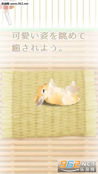 ����ϵ������������v1.0��ͼ2