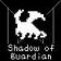 Shadow of guardian II(暗影守护者3D迷宫手游)