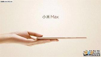 С��MaxԤԼAPPv1.0��ͼ2