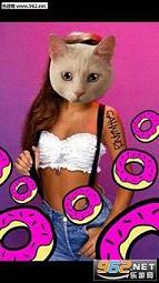 catwang���������appv3.2��ͼ2