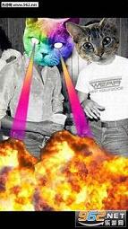 catwang���������appv3.2��ͼ3