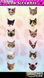 catwang���������appv3.2��ͼ1