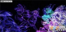 Tilt Brush Gallery(Tilt Brush)v1.0��ͼ2