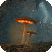 ��Ѩ����VR Cave Flythrough����