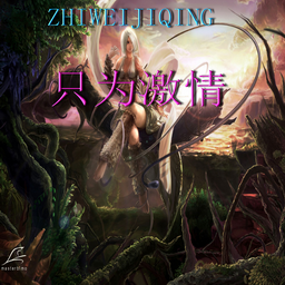 ֻΪ����2.6A��ʽ��(���淨+����)