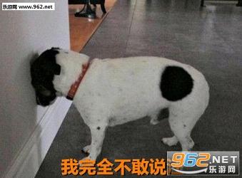 ����ȫ����˵��������������ͼ1