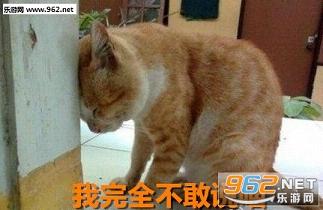 ����ȫ����˵��������������ͼ2