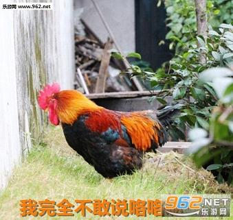 ����ȫ����˵��������������ͼ3