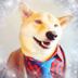 װ�ƴ�ʦapp