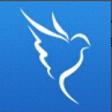 ��Ѷ�ڲ�app (tesly)