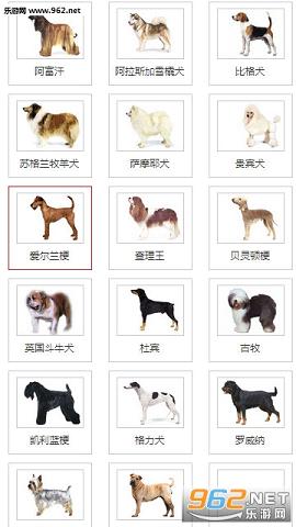 �Թ���app��ͼ3