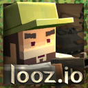 ³�ȴ���սlooz.io