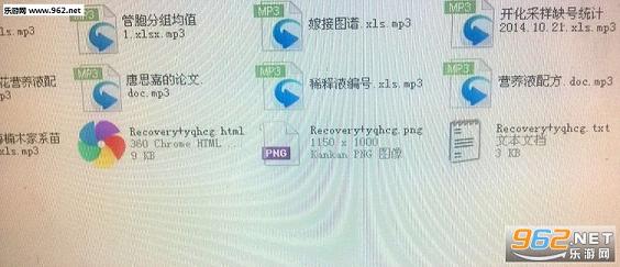 RSA4096病毒解密修复工具截图0