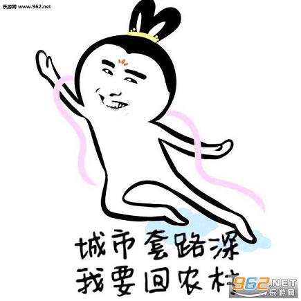 城市套路深我要回农村表情包截图2