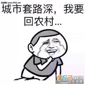 城市套路深我要回农村表情包截图0