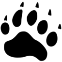 笨笨熊管家挂q软件最新绿色版