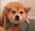 ����̫��ֻ�뻮ˮ�����