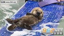 ����̫��ֻ�뻮ˮ�������ͼ0