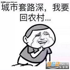 城市套路深我要回农村类似套路句子表情包截图1