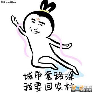 城市套路深我要回农村类似套路句子表情包截图0