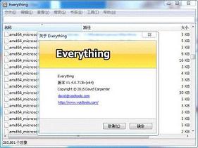 Everything���İ�
