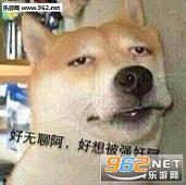 �����ĺ��뱻ǿ��������ͼ3