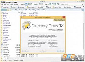 Directory Opus中文版官方版(证书不过期)截图0