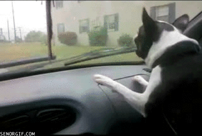���ȵĹ���gif�������ͼ2