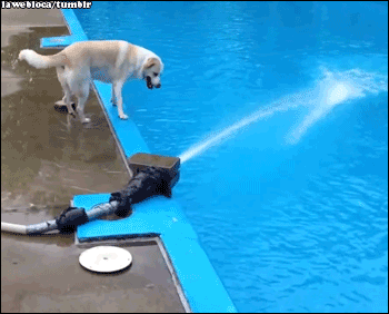 ���ȵĹ���gif�����