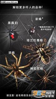 蜘蛛屏幕恶作剧简版截图2