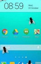 �ֻ������Ӭ����������v1.3.0��׿���ͼ0
