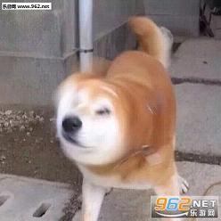 ����ҡͷ�������ͼ0