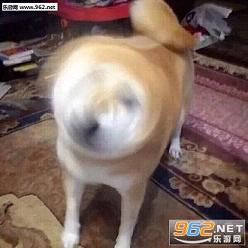 ����ҡͷ�������ͼ2
