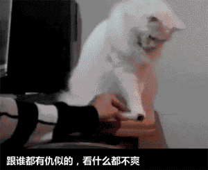 �������跳��gif�������ͼ0