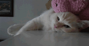 �������跳��gif�����