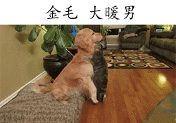 �����˸�Цgif�����