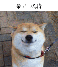 �����˸�Цgif�������ͼ0