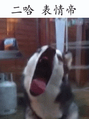 �����˸�Цgif�������ͼ1