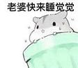 仓鼠表情包夫君君完整版截图1