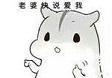 仓鼠表情包夫君君完整版截图0