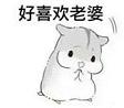 仓鼠表情包夫君君完整版截图2