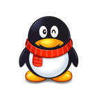 qq���˺��