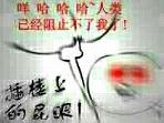 ��¥�����