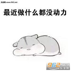 ����Ǹ������˲���������ͼ0