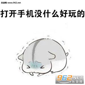 ����Ǹ������˲���������ͼ2