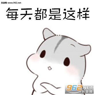 ˯��ǰ�����ϸ�����С����������ͼ1