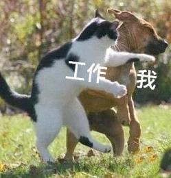 ȫ���綼���Ҳ�˳��ϵ�б����