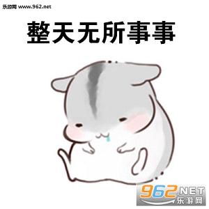 差不多是个废鼠了表情包截图1