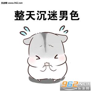 差不多是个废鼠了表情包截图0