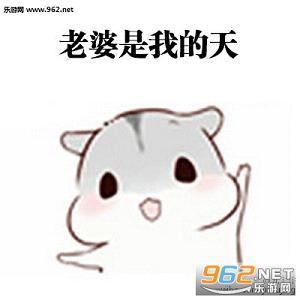 hamham��������ű������ͼ0